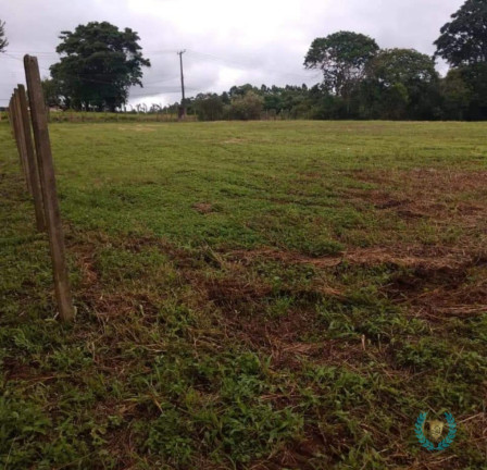 Imagem Terreno à Venda, 9.000 m² em Sorocamirim (canguera) - São Roque Imagem Terreno à Venda, 9.000 m² em Sorocamirim (canguera) - São Roque
