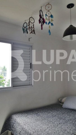 Imagem Apartamento com 3 Quartos à Venda, 64 m² em Vila Guilherme - São Paulo
