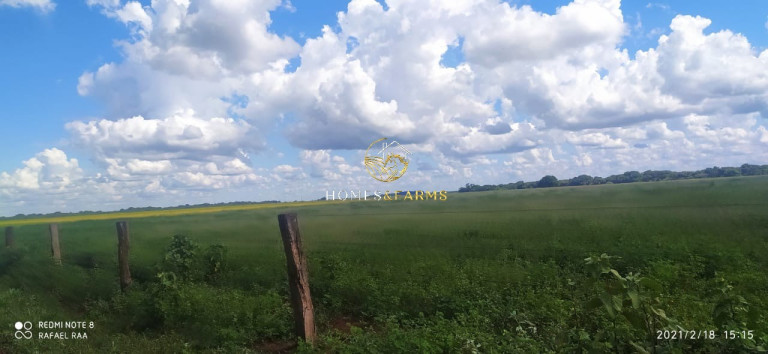 Imagem Imóvel com 3 Quartos à Venda, 423 m² em Zona Rural - Turvelândia Imagem Imóvel com 3 Quartos à Venda, 423 m² em Zona Rural - Turvelândia