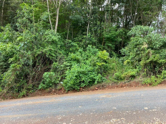 Imagem Terreno à Venda, 468 m² em Jardim - Concórdia Imagem Terreno à Venda, 468 m² em Jardim - Concórdia