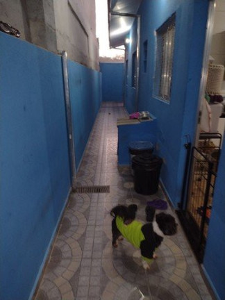 Imagem Casa com 2 Quartos à Venda, 70 m² em Loteamento Jardim Helena - São José Dos Campos Imagem Casa com 2 Quartos à Venda, 70 m² em Loteamento Jardim Helena - São José Dos Campos
