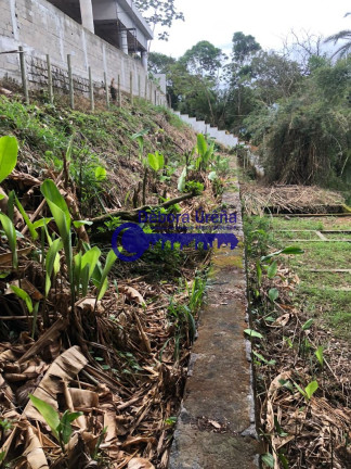 Terreno à Venda, 998 m² em Tenório - Ubatuba