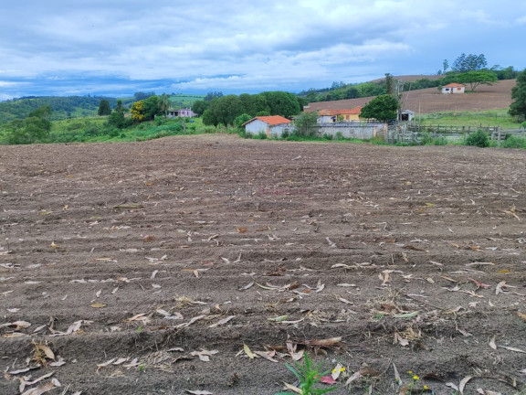 Imagem Imóvel com 6 Quartos à Venda, 847.000 m² em Centro - Itapetininga