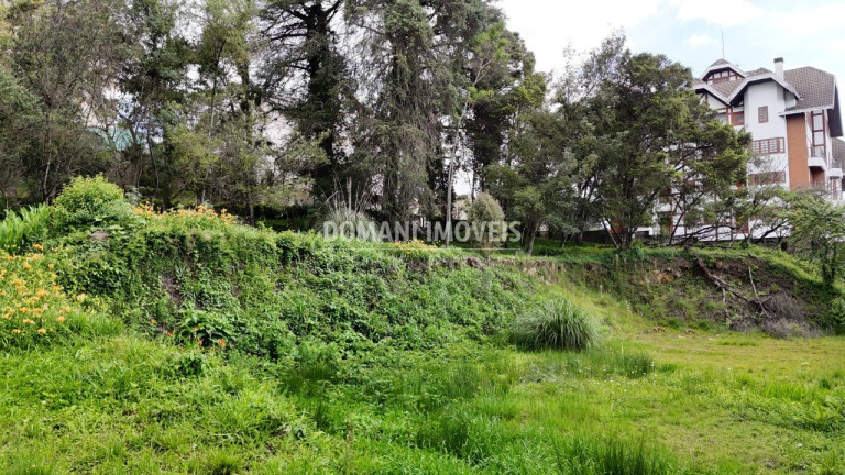 Imagem Terreno à Venda, 2.540 m² em Região De Capivari - Campos Do Jordão Imagem Terreno à Venda, 2.540 m² em Região De Capivari - Campos Do Jordão