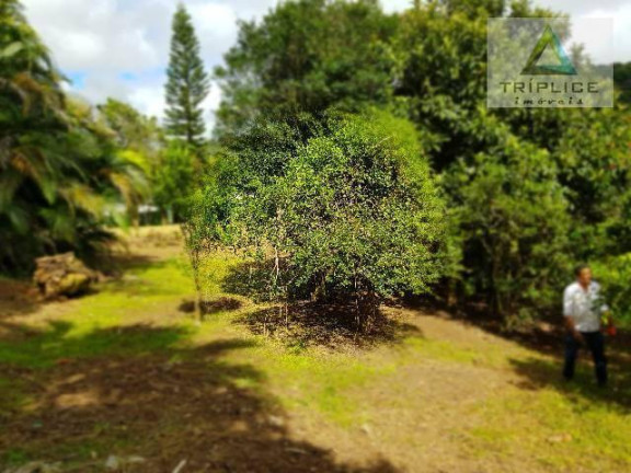 Imagem Casa com 7 Quartos à Venda, 300 m² em Grama - Juiz De Fora