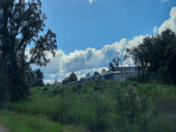 Terreno à Venda, 12.438 m² em Germânia - Nova Petrópolis