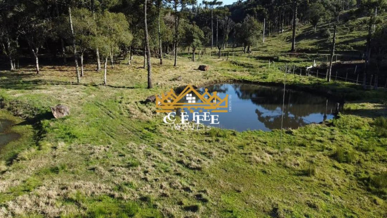 Imagem Imóvel à Venda, 20 m² em Serra Grande - Igrejinha Imagem Imóvel à Venda, 20 m² em Serra Grande - Igrejinha