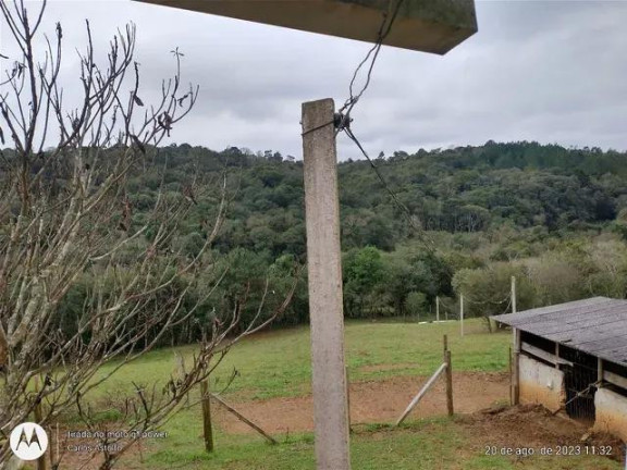 Imagem Imóvel com 4 Quartos à Venda, 22.000 m² em Areia Branca Dos Assis - Mandirituba
