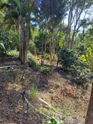 Imagem Chácara com 4 Quartos à Venda, 4.000 m² em Joanópolis Imagem Chácara com 4 Quartos à Venda, 4.000 m² em Joanópolis