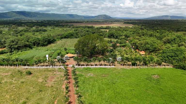 Imagem Chácara com 3 Quartos à Venda, 330.000 m² em Centro - Buritis