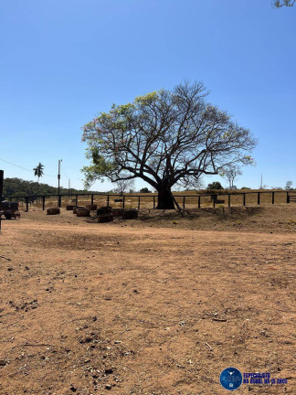 Imagem Fazenda à Venda, 92 m² em Zona Rural - Cristianópolis Imagem Fazenda à Venda, 92 m² em Zona Rural - Cristianópolis