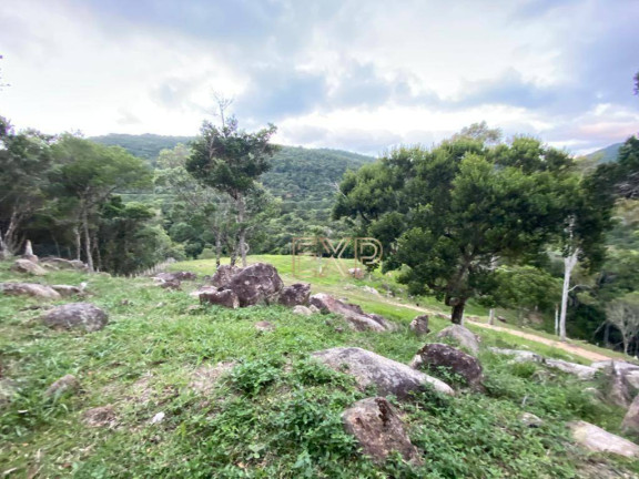 Imagem Imóvel à Venda, 77.000 m² em Ratones - Florianópolis Imagem Imóvel à Venda, 77.000 m² em Ratones - Florianópolis