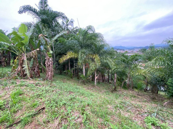Imagem Terreno à Venda, 776 m² em Barra Do Rio Cerro - Jaraguá Do Sul Imagem Terreno à Venda, 776 m² em Barra Do Rio Cerro - Jaraguá Do Sul