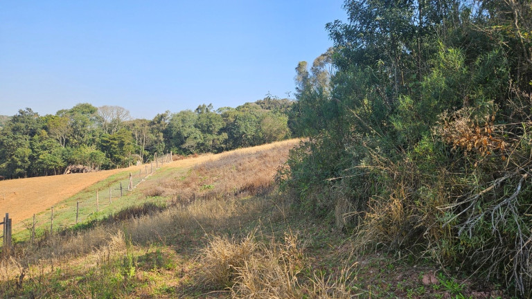 Imagem Fazenda à Venda, em Zona Rural - Araucaria Imagem Fazenda à Venda, em Zona Rural - Araucaria