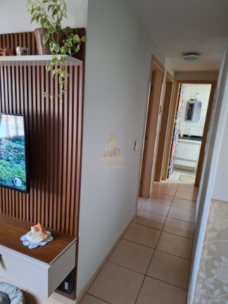 Imagem Apartamento com 3 Quartos à Venda, 59 m² em Parque São Vicente - Mauá Imagem Apartamento com 3 Quartos à Venda, 59 m² em Parque São Vicente - Mauá