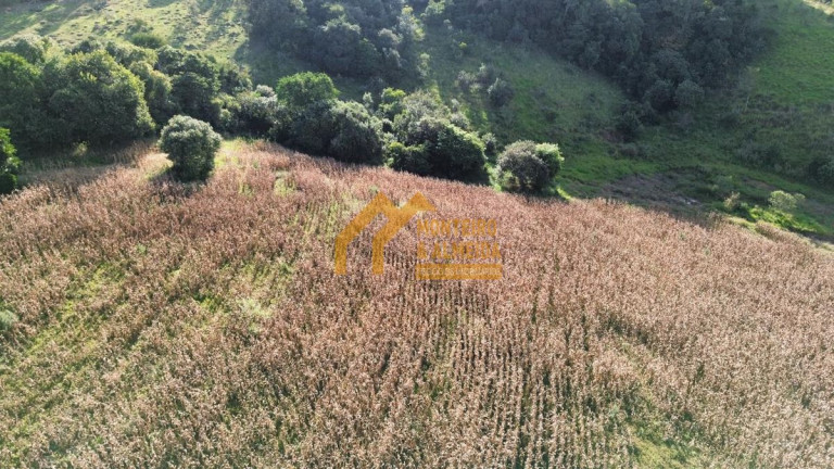 Imagem Fazenda à Venda, 169.400 m² em Vale San Fernando - Itapetininga