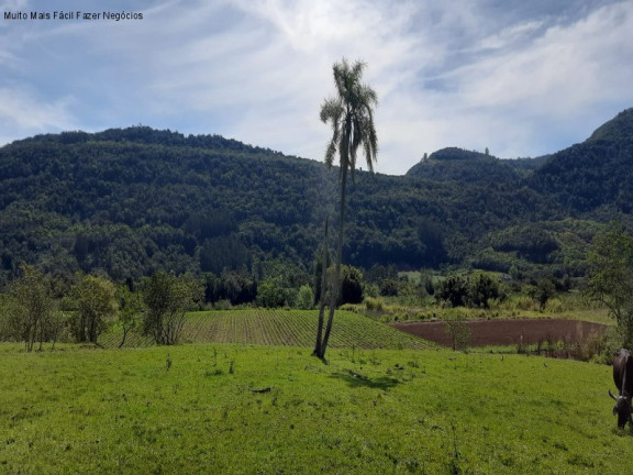Imagem Terreno à Venda, 8 m² em Linha Temerária - Nova Petrópolis Imagem Terreno à Venda, 8 m² em Linha Temerária - Nova Petrópolis