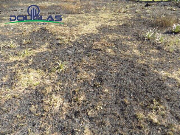 Imagem Terreno à Venda, 853 m² em Viamão