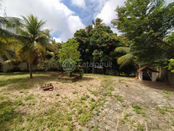 Imagem Terreno à Venda, 6.225 m² em Barra De Tabatinga - Nísia Floresta Imagem Terreno à Venda, 6.225 m² em Barra De Tabatinga - Nísia Floresta