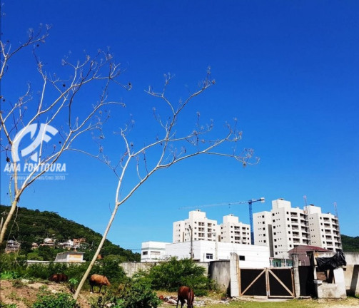 Imagem Imóvel à Venda, 3.875 m² em São Francisco De Assis - Camboriú Imagem Imóvel à Venda, 3.875 m² em São Francisco De Assis - Camboriú
