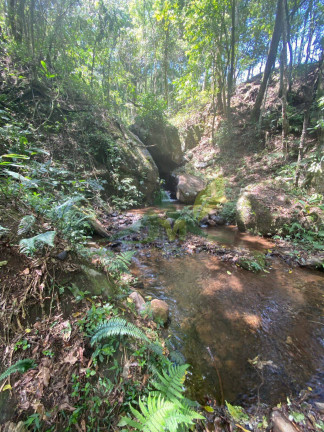 Imagem Chácara com 4 Quartos à Venda, 60.000 m² em Piracaia - Piracaia Imagem Chácara com 4 Quartos à Venda, 60.000 m² em Piracaia - Piracaia