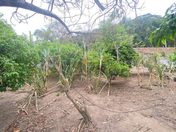 Imagem Casa com 3 Quartos à Venda, 114 m² em Pessegueiros - Teresópolis Imagem Casa com 3 Quartos à Venda, 114 m² em Pessegueiros - Teresópolis
