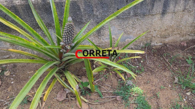 Imagem Terreno à Venda, 1.360 m² em Campo Verde - Ibiúna