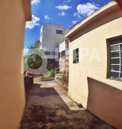 Imagem Casa com 4 Quartos para Alugar, 362 m² em Vila Gustavo - São Paulo Imagem Casa com 4 Quartos para Alugar, 362 m² em Vila Gustavo - São Paulo