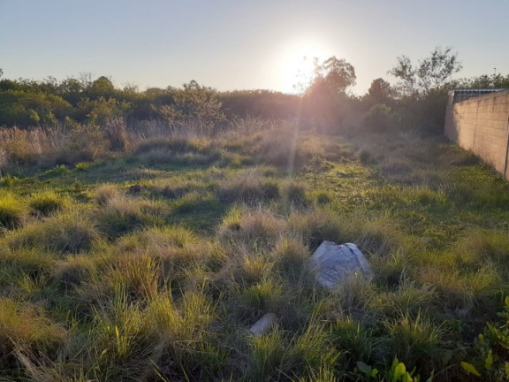 Imagem Terreno à Venda, 600 m² em Diácono João Luiz Pozzobon - Santa Maria Imagem Terreno à Venda, 600 m² em Diácono João Luiz Pozzobon - Santa Maria