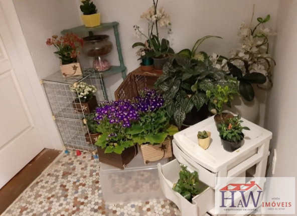 Imagem Apartamento com 3 Quartos à Venda, 55 m² em Flamengo - Rio De Janeiro Imagem Apartamento com 3 Quartos à Venda, 55 m² em Flamengo - Rio De Janeiro