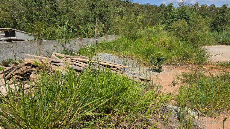 Imagem Terreno em Condomínio à Venda, 500 m² em Jundiaizinho (terra Preta) - Mairiporã Imagem Terreno em Condomínio à Venda, 500 m² em Jundiaizinho (terra Preta) - Mairiporã