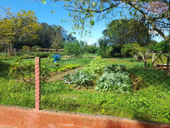 Imagem Imóvel com 5 Quartos à Venda, 128 m² em Ipelândia - Suzano