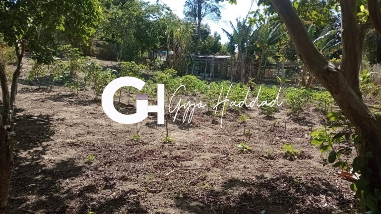 Imagem Chácara com 1 Quarto à Venda, 4.985 m² em Piedade Imagem Chácara com 1 Quarto à Venda, 4.985 m² em Piedade