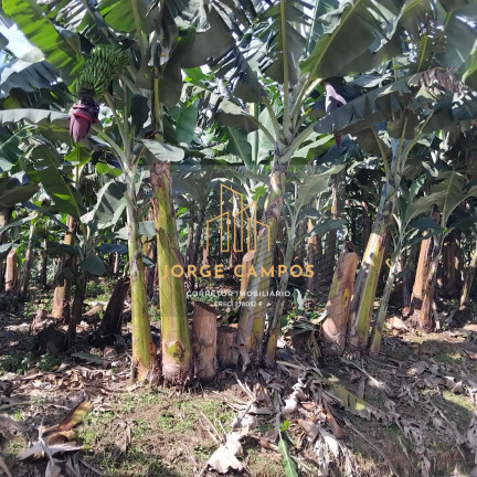 Imagem Fazenda à Venda, 125 m² em Zona Rural - Miracatu Imagem Fazenda à Venda, 125 m² em Zona Rural - Miracatu