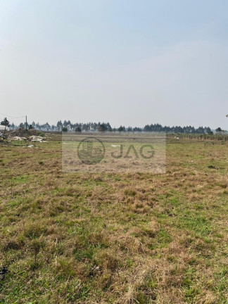Terreno à Venda, 3.000 m² em Planta Santa Lúcia - Piraquara