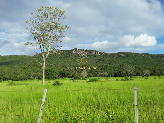 Imagem Imóvel com 3 Quartos à Venda, 2.770 m² em Zona Rural - Barra Do Bugres Imagem Imóvel com 3 Quartos à Venda, 2.770 m² em Zona Rural - Barra Do Bugres