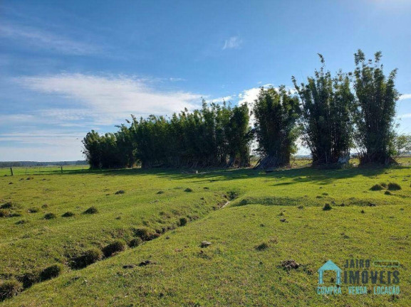 Imagem Chácara com 3 Quartos à Venda, 130.000 m² em Túnel Verde - Balneário Pinhal Imagem Chácara com 3 Quartos à Venda, 130.000 m² em Túnel Verde - Balneário Pinhal