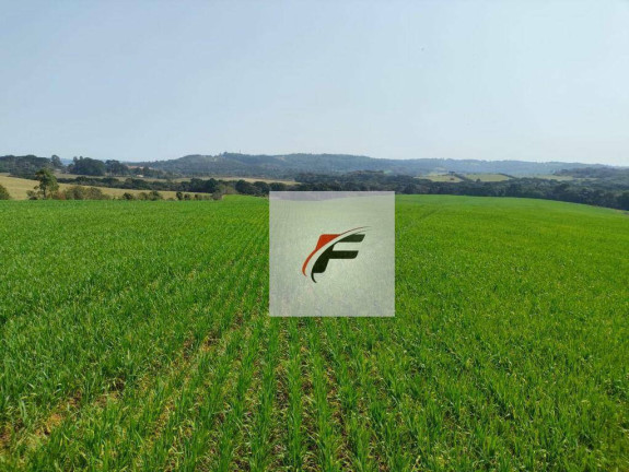 Imagem Fazenda à Venda, 847.000 m² em Centro - Lapa Imagem Fazenda à Venda, 847.000 m² em Centro - Lapa