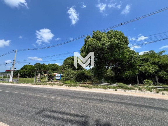 Imagem Chácara com 4 Quartos à Venda, 10.000 m² em Quarenta Horas (coqueiro) - Ananindeua