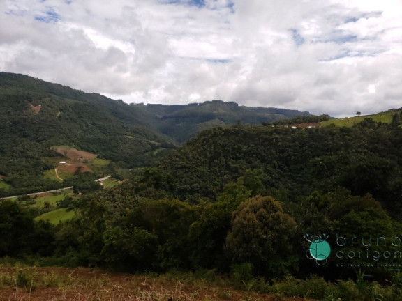 Imóvel com 1 Quarto à Venda, 60.000 m² em Zona Rural - Alfredo Wagner