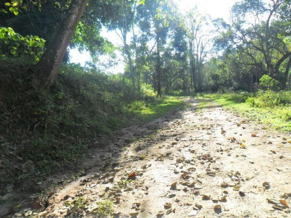 Imagem Fazenda à Venda, 98.000 m² em Cocuera - Mogi Das Cruzes Imagem Fazenda à Venda, 98.000 m² em Cocuera - Mogi Das Cruzes