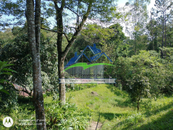 Imagem Terreno em Condomínio à Venda, 5.000 m² em Recanto Dos Palmares - Atibaia Imagem Terreno em Condomínio à Venda, 5.000 m² em Recanto Dos Palmares - Atibaia