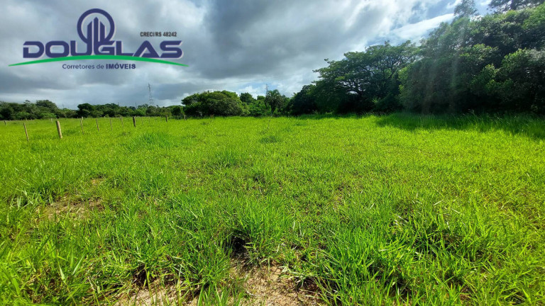 Imagem Chácara à Venda, em águas Claras - Viamão Imagem Chácara à Venda, em águas Claras - Viamão