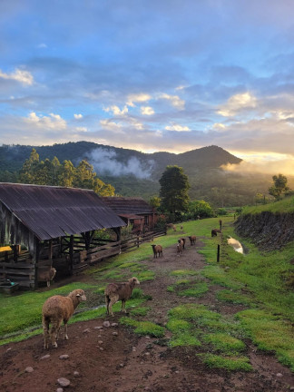 Imagem Chácara com 3 Quartos à Venda, 147.000 m² em Zona Rural - Sinimbu Imagem Chácara com 3 Quartos à Venda, 147.000 m² em Zona Rural - Sinimbu