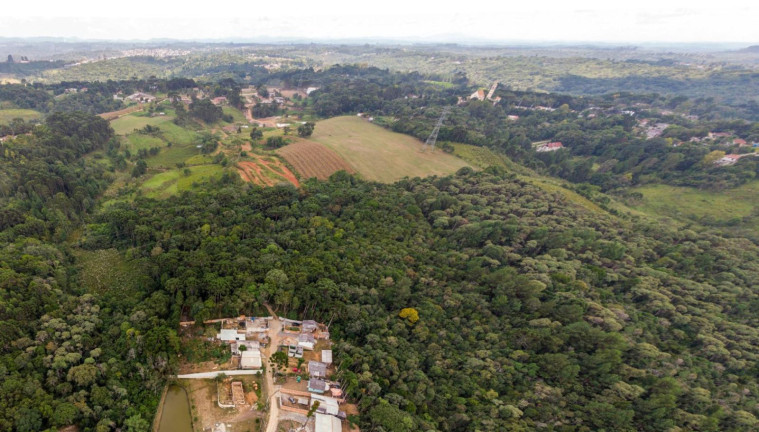 Imagem Terreno à Venda, 19.600 m² em Colônia Faria - Colombo Imagem Terreno à Venda, 19.600 m² em Colônia Faria - Colombo