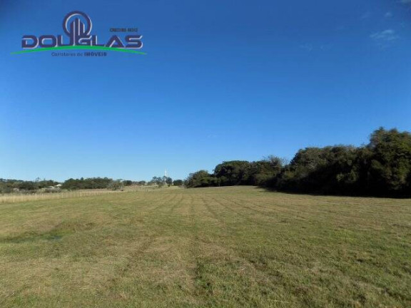 Imagem Chácara à Venda, 8 m² em águas Claras - Viamão Imagem Chácara à Venda, 8 m² em águas Claras - Viamão