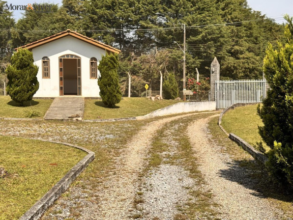 Imagem Chácara com 4 Quartos à Venda, 7.700 m² em Loteamento Chácara Chantecler - Piraquara Imagem Chácara com 4 Quartos à Venda, 7.700 m² em Loteamento Chácara Chantecler - Piraquara