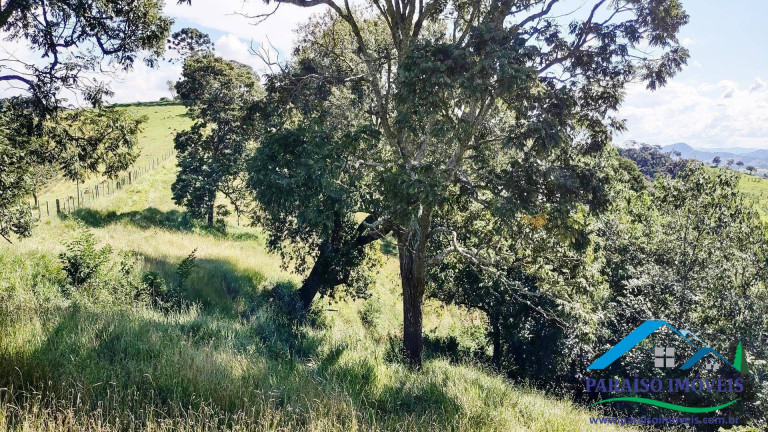 Imagem Chácara à Venda, 14 m² em Centro - Conceição Dos Ouros Imagem Chácara à Venda, 14 m² em Centro - Conceição Dos Ouros