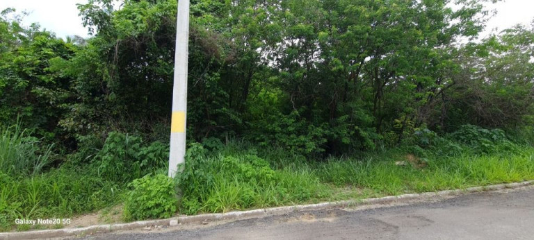 Imagem Imóvel para Alugar, 13.684 m² em Campo Grande - Rio De Janeiro