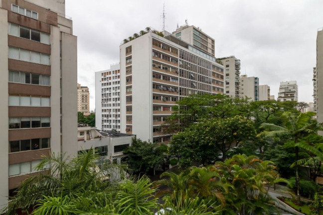 Imagem Apartamento com 3 Quartos à Venda, 270 m² em Higienópolis - São Paulo Imagem Apartamento com 3 Quartos à Venda, 270 m² em Higienópolis - São Paulo